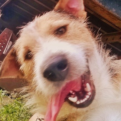 Katieさんのプロフィール画像