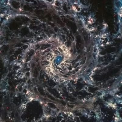 sahrfc's profile picture. 55 and counting, hurry up 56 we're fed up waiting WATP