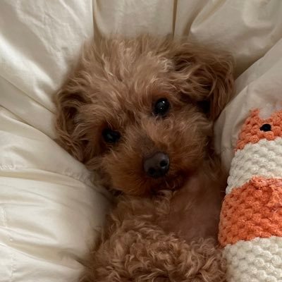 W9M9Y5052d72186's profile picture. 