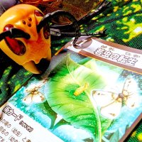 蟲神器 カイコ 蚕玉の加護 蟲神器 】カイコにつけよう 蚕玉の加護【#ずんだもん 】 - YouTube