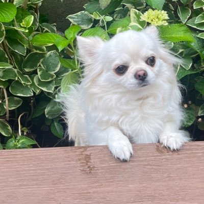 yorikominato88's profile picture. ガンプラ超初心者