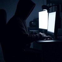 Surveillance Hunter (@surveil_hunt) 's Twitter Profile