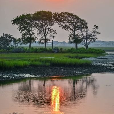 LauraPorretta's profile picture. 