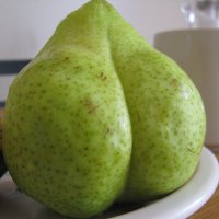 BigButtPear PHD MD 110 IQ 5'10" BMI: 18.5 (@bigpearbutt) 's Twitter Profile