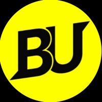 Birmingham United First Team (@bufcfirst) 's Twitter Profile