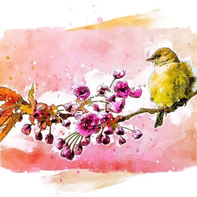 @KhueHong26990
