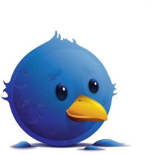 FollowBackBird_'s profile picture. #TeamFollowBack ! Ask to gain lots of followers ;)