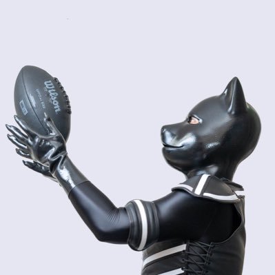 object_000000 犬、ラバー、ユニ、着ぐるみ、ヒーローなホモサピエンス。写真撮りたい撮られたい。自由に生きてます=無🍐 α7Ⅳ/FX3/GH5/