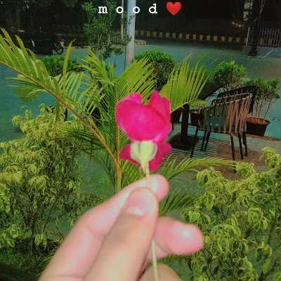 NemanjaTom6's profile picture. Ljubitelj hrane u potrazi za novim ukusima i gastronomskim avanturama🇷🇸.