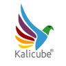 TeamKalicube's profile picture. Kalicube is a premium Digital Branding Consultancy for entrepreneurs in the AI era.