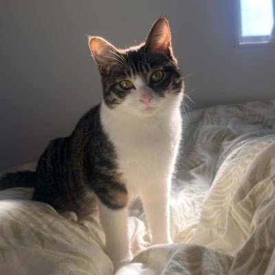 aytzwh's profile picture. 2014.4.20 ミニチュアゲームはじめました。