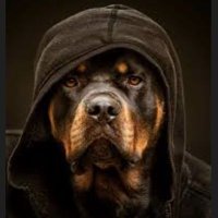 Lee (@ahbaz195808) 's Twitter Profile Photo