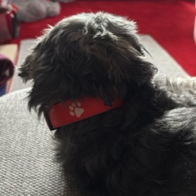 lindaloo63's profile picture. Liverpool fc fan