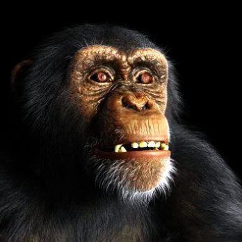 RenderRathore's profile picture. Video Editor & Graphic designer | 4+ Years Experience | DM for commissions 📨