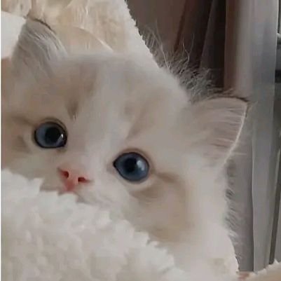 君と最高の人生にしたいんだ₊˚✧꒰ 🧸 ꒱✧˚
                           道枝駿佑くん/永岡蓮王くん