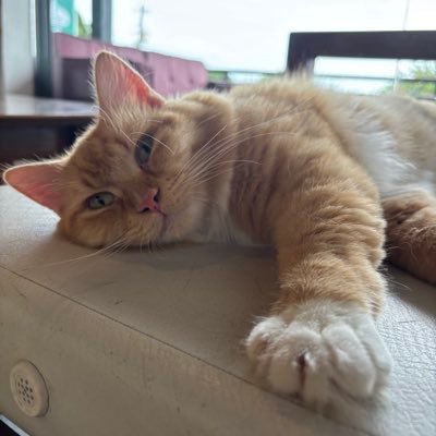 Buildwithyou1's profile picture. 