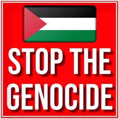 LynMatt89664666's profile picture. 🇵🇸🇱🇧