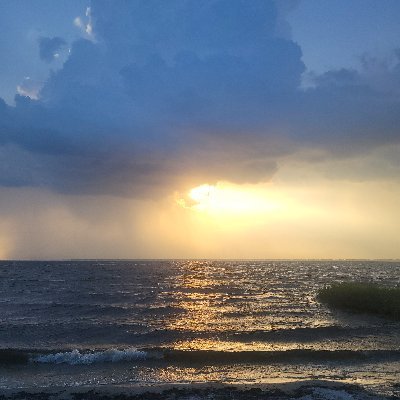 TYogajam's profile picture. 