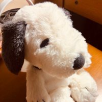 ゆっ君 (@n4_bsw2570) 's Twitter Profile