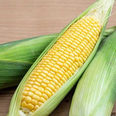 tomorocoshicorn's profile picture. 06(19）千葉　　推し:薮島朱音　　伊波杏樹　　　
　　　　　　　　　　　　　　　　　　　　　　　　　　　　
好きなことや日常をただ垂れ流すLiella!が大好きなオタク。多くの方と「今」を楽しめるような存在になりたいです✨️