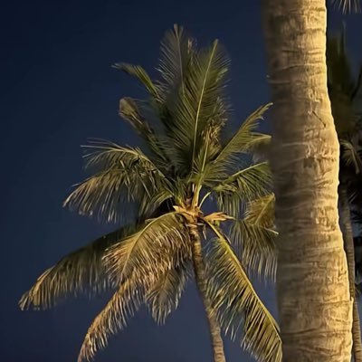 banihassan__2's profile picture. حَصِيلة ما أُحِـبّ وَأؤمِن !