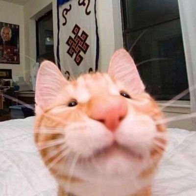 오아さんのプロフィール画像