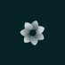BLOOM | 🌼🪽 (@bloomventure299) Twitter profile photo BLOOM | 🌼🪽 (@bloomventure299) Twitter profile photo