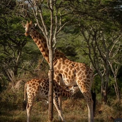 travelug15's profile picture. Travel is an exciting and anticipated time, but in order to ensure a pleasant and safe journey, there are some things to consider and prepare in advance. F4 mor