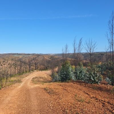 Hugofer09367603's profile picture. 