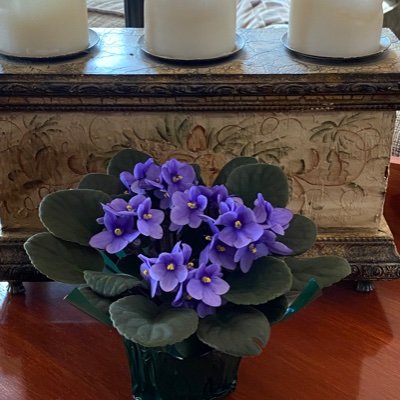 GinaM1983516's profile picture. 