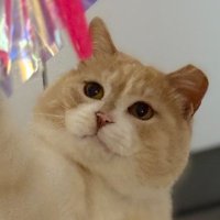 μ보λ₯π«‘μ€νxλͺ½λπ (@find_firsthome) 's Twitter Profile