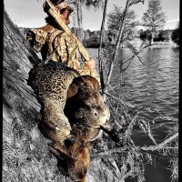 tyler white (@nipplefritz) 's Twitter Profile