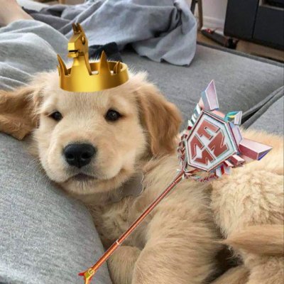 Sasukee0001's profile picture. youtube:https://t.co/M1NaPvK3ro
twitch:https://t.co/mlITzDLxuU
kick:https://t.co/rX3poFBdJd

Fortnite competitive player  🏆