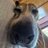 adrianfortt's profile image