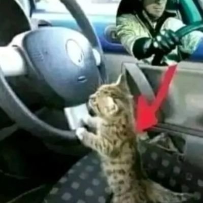 yreikar's profile picture. Rip:🫡@follaskibidi69😭