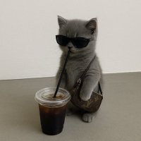 \บ๊อกแบ๊ก/ (@gorilapastel) 's Twitter Profile
