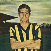 Fenerbahçe spor Kulübü (@cokuncgulle178) 's Twitter Profile