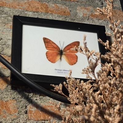 KTST90's profile picture. 