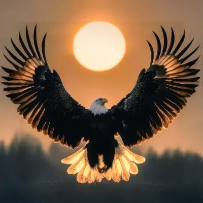 olofinluyie's profile picture. Friend and family of all .