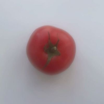 대학교 2학년 | 조잘조잘 이야기 하는 걸 좋아해요!!