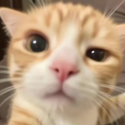 yagi_yunoh214's profile picture. 20↑ 雑多垢 nct🍑 タイ沼🩵🩷