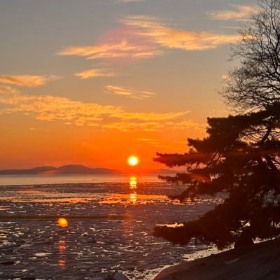 ileum0626's profile picture. 일차에서 쓰리디까지