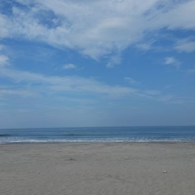 kimura_kira05's profile picture.