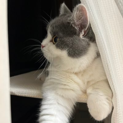 lalaland__x's profile picture. 