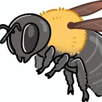 mNCHynRaxg44554's profile picture. 