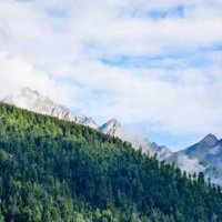 Thelma Wuckert (@twuckert10445) 's Twitter Profile