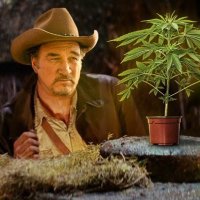 Jim Belushi oregon (@jcharlson62700) 's Twitter Profile