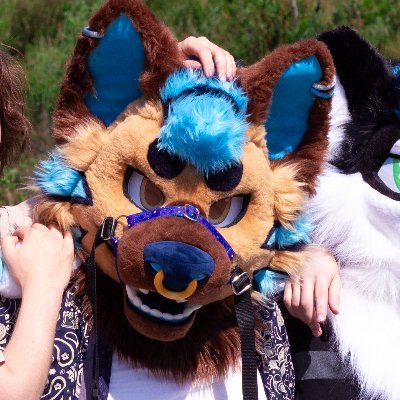 RynYeen's profile picture. 50% Teeth, 1% Brain, 100% Trouble | 🔝 | He/Him 🔞 🧵: @MadeByMercury | 🇬🇧