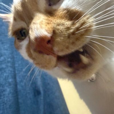 えぬさんのプロフィール画像