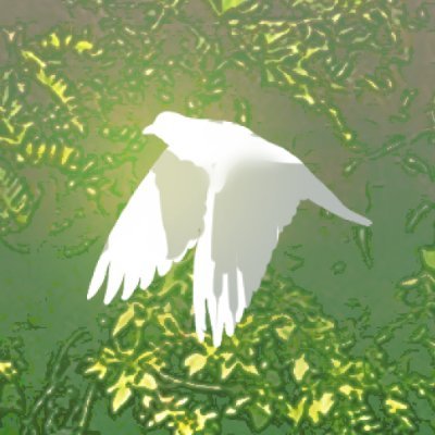 장모さんのプロフィール画像